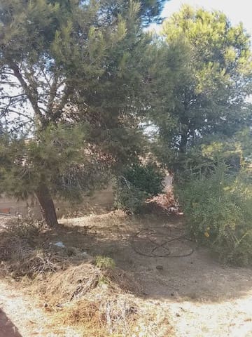 3 chambre Villa/Maison à vendre à Daya Nueva avec piscine - 290 000 € (Ref: 10081804)