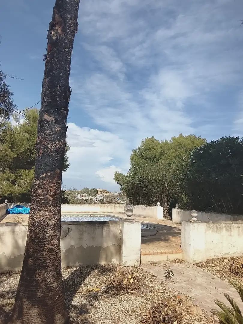 3 chambre Villa/Maison à vendre à Daya Nueva avec piscine - 290 000 € (Ref: 10081804)