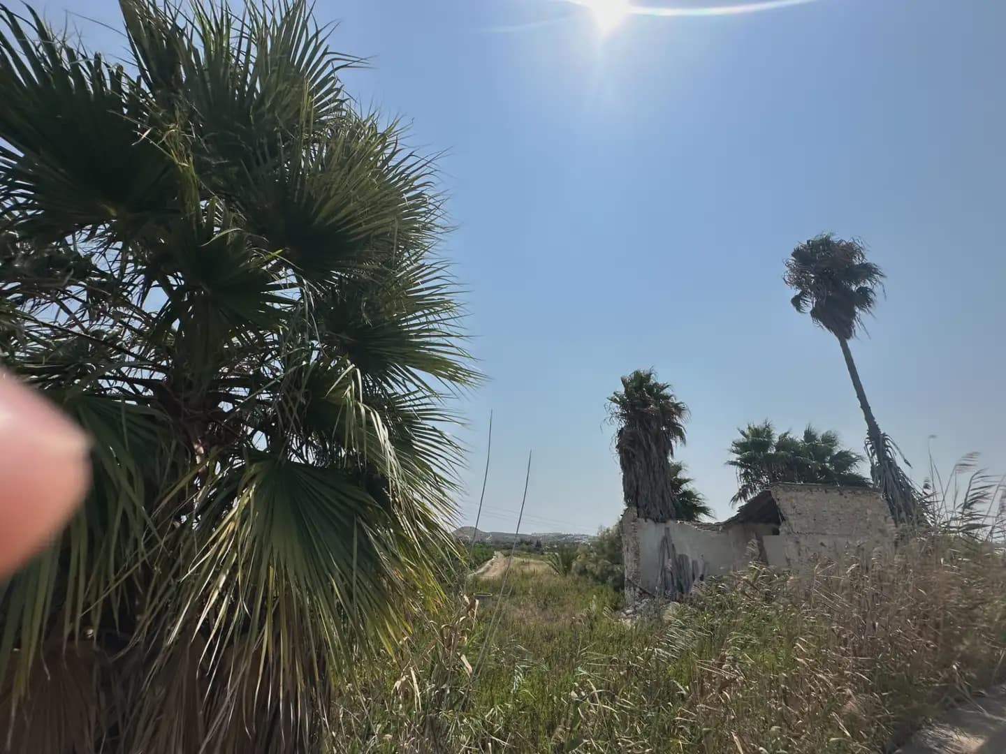Teren niezagospodarowany na sprzedaż w Formentera del Segura - 59 000 € (Ref: 10081810)