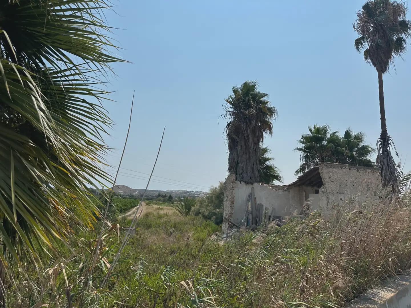 Teren niezagospodarowany na sprzedaż w Formentera del Segura - 59 000 € (Ref: 10081810)
