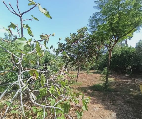 4 quarto Moradia para venda em El Puerto, Dénia com garagem - 1 195 000 € (Ref: 10086495)