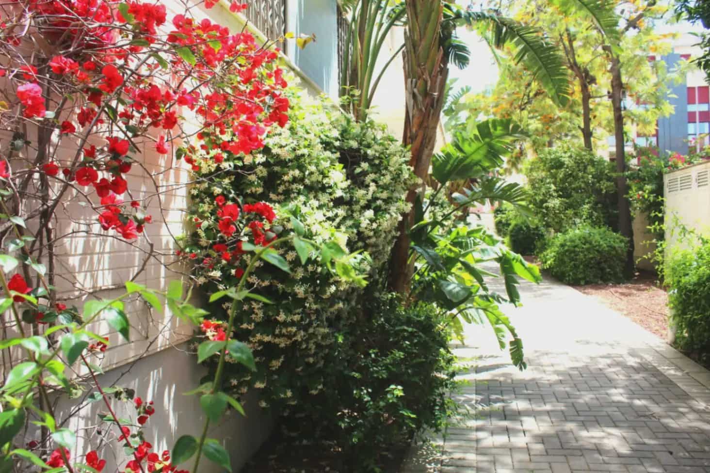 3 quarto Penthouse para venda em Denia com piscina garagem - 685 000 € (Ref: 10086499)