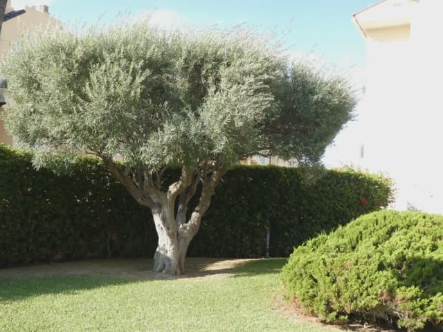 3 sovrum Takvåning till salu i Les Bassetes - El Marjal, Dénia med pool garage - 424 000 € (Ref: 10086503)