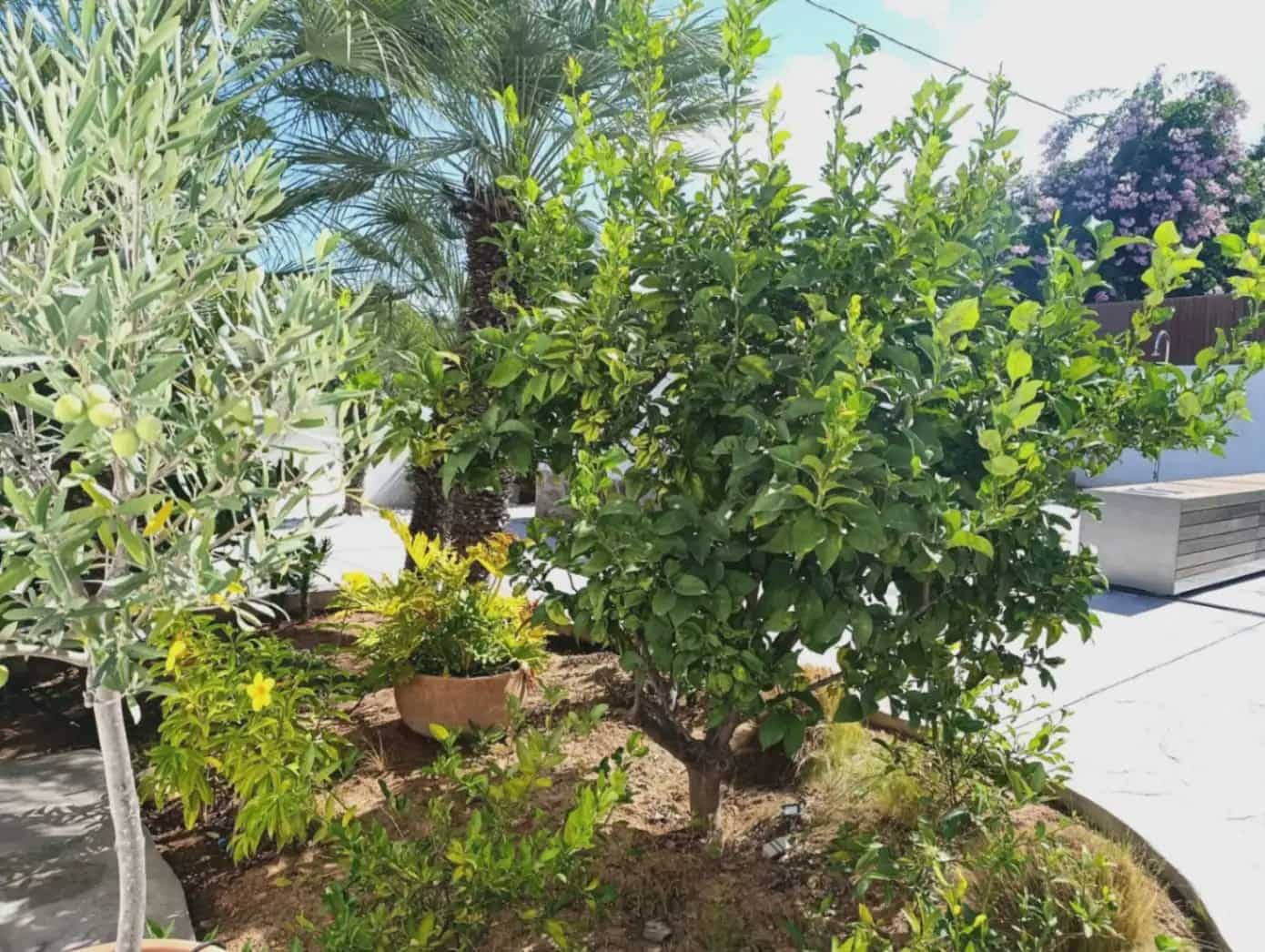3 chambre Villa/Maison à vendre à Javea / Xabia avec piscine garage - 1 044 000 € (Ref: 10120422)
