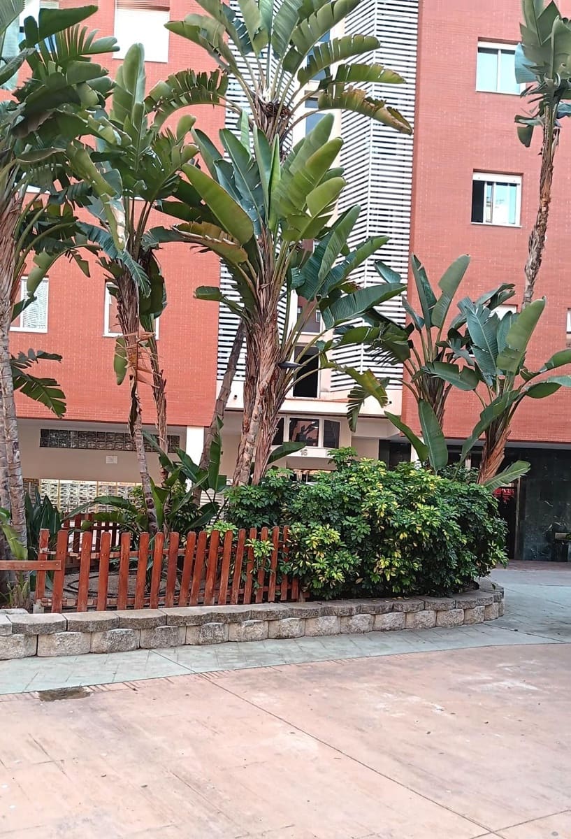 Piso de 3 habitaciones en Málaga ciudad en venta con piscina garaje - 600.000 € (Ref: 10130257)