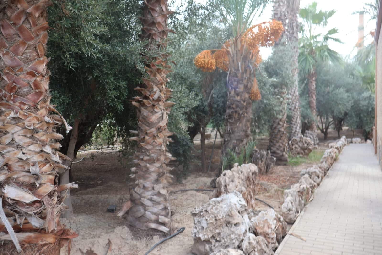 5 bedroom Villa for sale in Murcia city with garage - € 3,400,000 (Ref: 10085332)