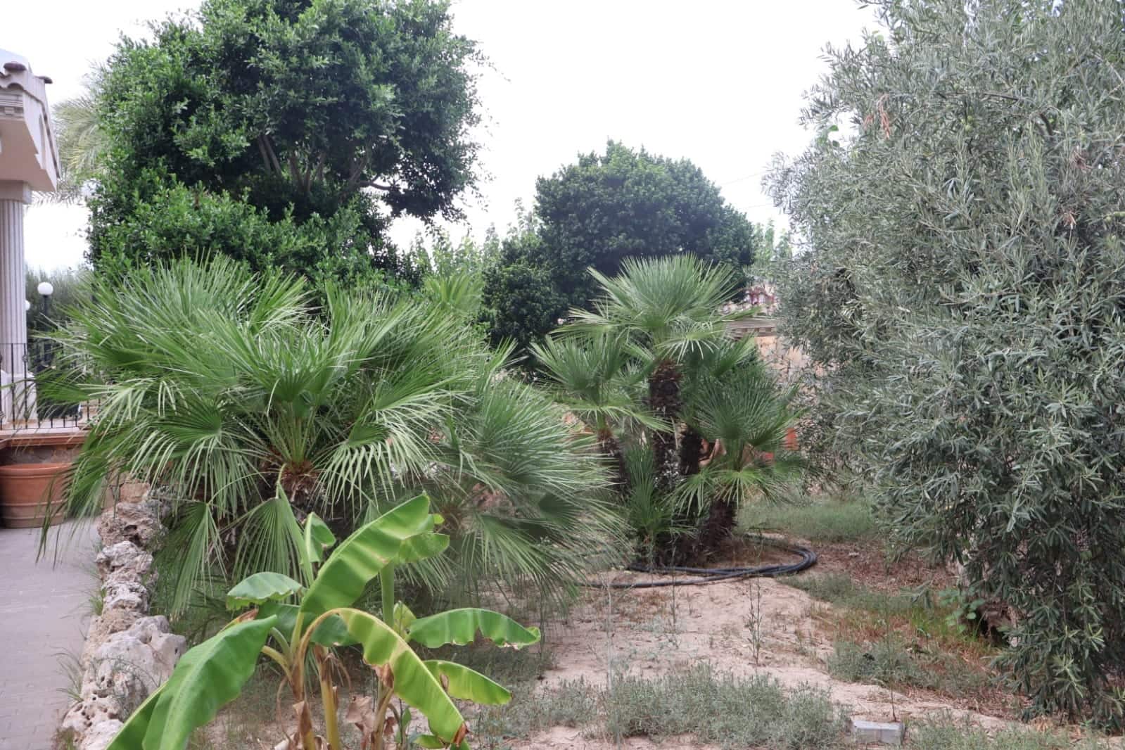 5 bedroom Villa for sale in Murcia city with garage - € 3,400,000 (Ref: 10085332)