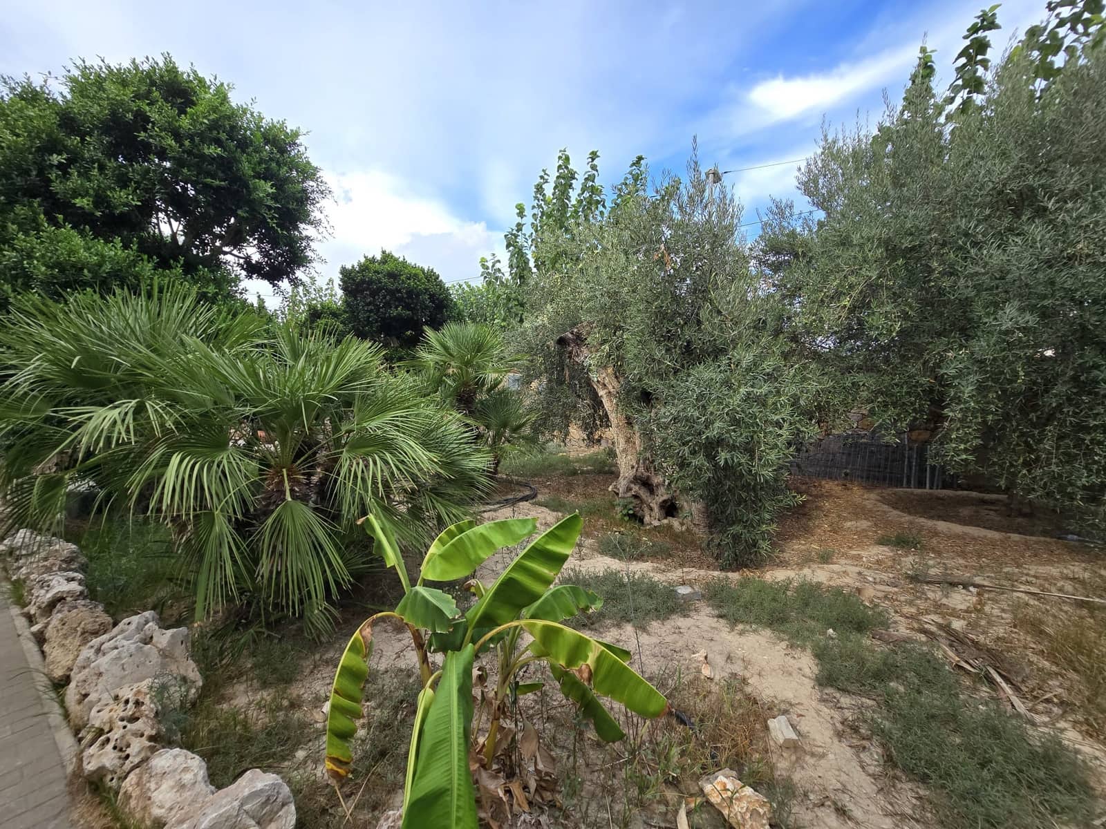 5 bedroom Villa for sale in Murcia city with garage - € 3,400,000 (Ref: 10085332)