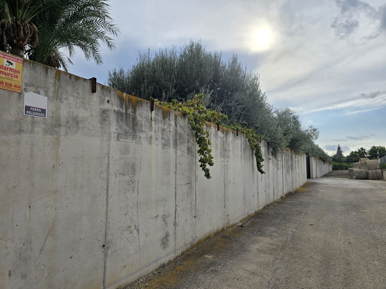 5 bedroom Villa for sale in Murcia city with garage - € 3,400,000 (Ref: 10085332)