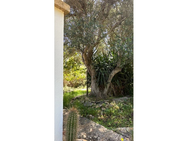 3 soverom Finca/Herregård til salgs i Ciutadella de Menorca med garasje - € 840 000 (Ref: 10168447)
