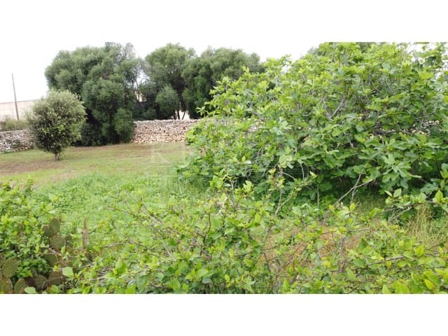 4 soverom Villa til salgs i Ciutadella, Ciutadella de Menorca - € 625 000 (Ref: 10168451)