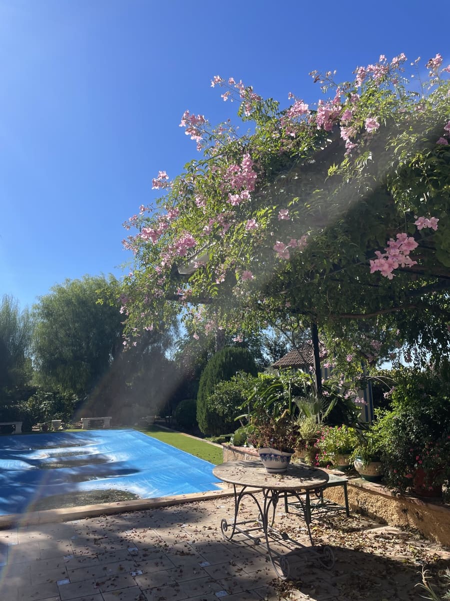 4 quarto Moradia para venda em Elche / Elx com piscina garagem - 840 000 € (Ref: 10098605)