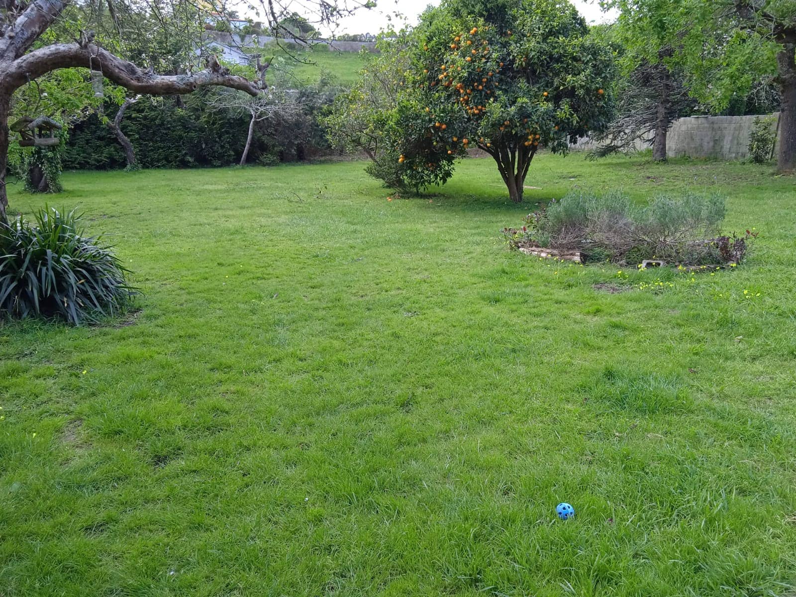 10 bedroom Finca/Country House for sale in Oleiros - € 375,000 (Ref: 10101085)