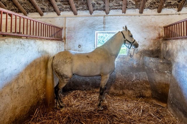 Rakentamaton maa myytävänä paikassa Villamanrique de la Condesa - 1 990 000 € (Ref: 10156128)