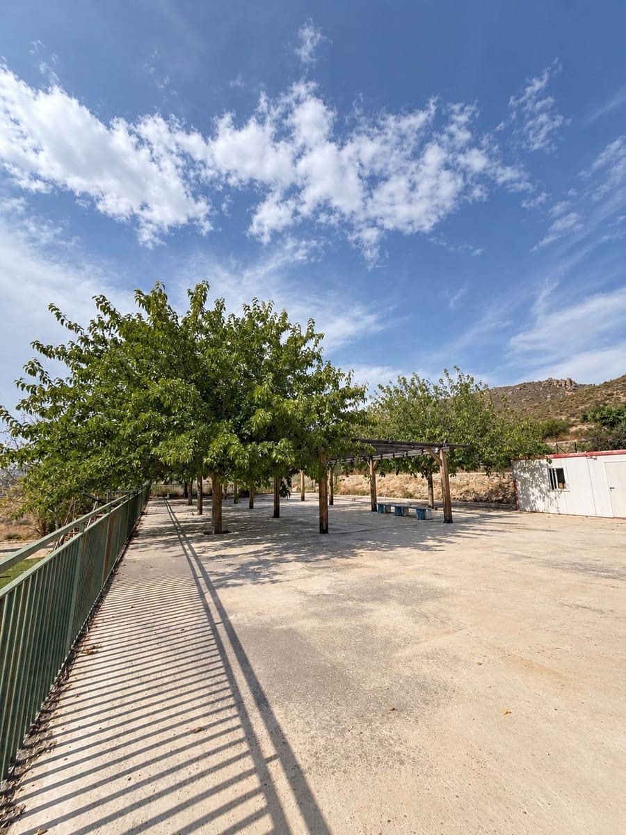 4 chambre Villa/Maison à vendre à Blanca avec piscine garage - 650 000 € (Ref: 10155333)