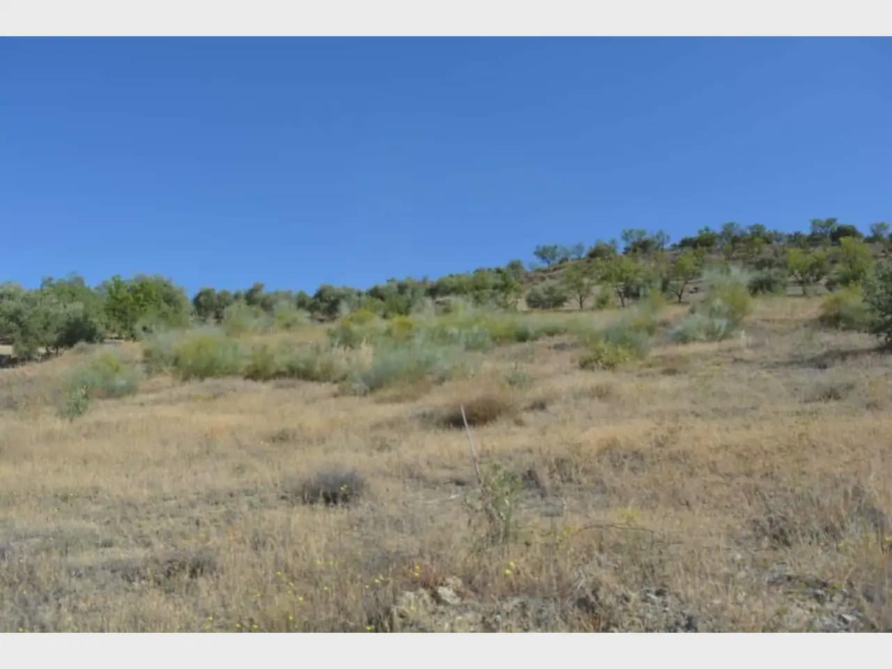 Terre non Aménagée à vendre à Alfacar - 19 900 € (Ref: 10165261)