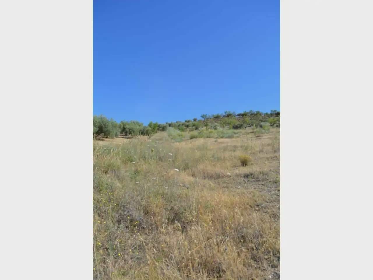 Terre non Aménagée à vendre à Alfacar - 19 900 € (Ref: 10165261)