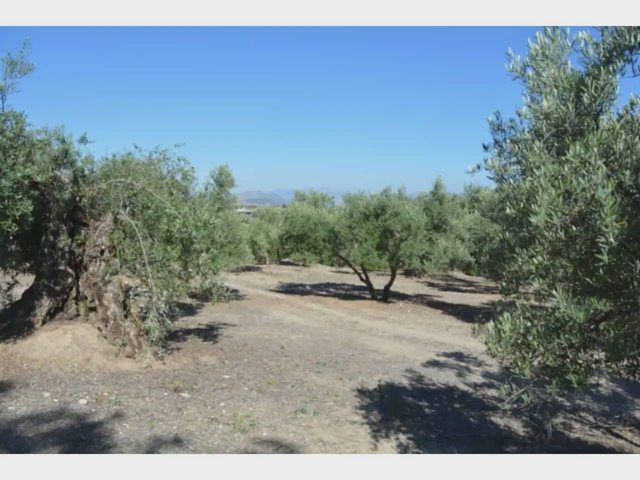 Terre non Aménagée à vendre à Alfacar - 19 900 € (Ref: 10165261)