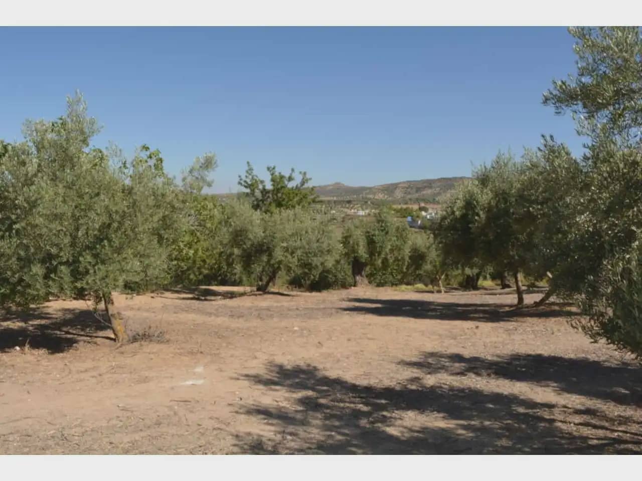 Terre non Aménagée à vendre à Alfacar - 19 900 € (Ref: 10165261)