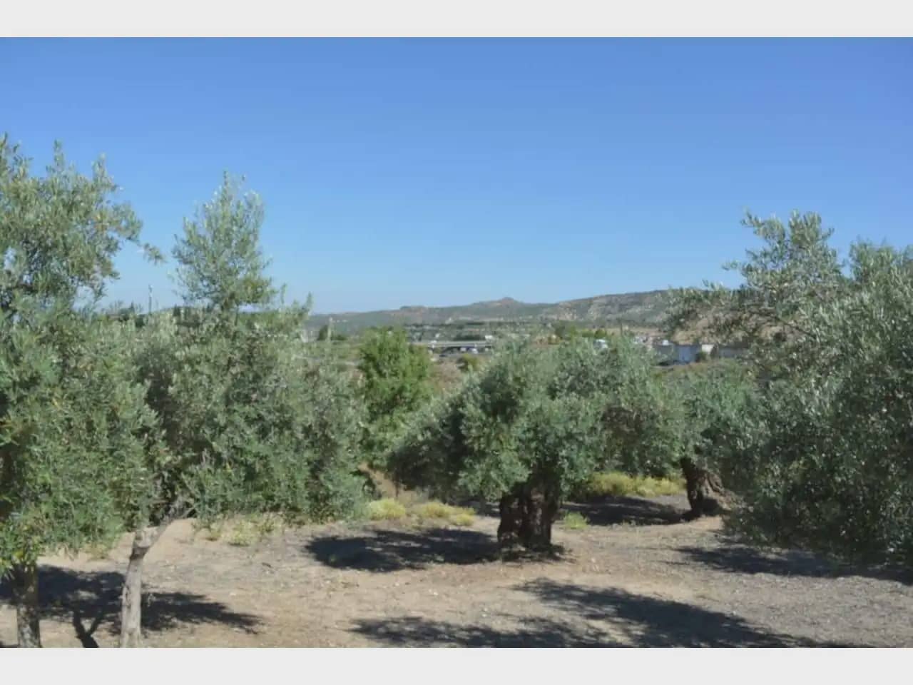 Terre non Aménagée à vendre à Alfacar - 19 900 € (Ref: 10165261)