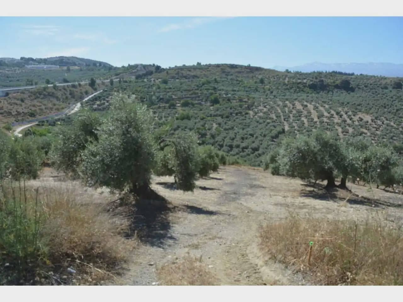 Terre non Aménagée à vendre à Alfacar - 19 900 € (Ref: 10165261)