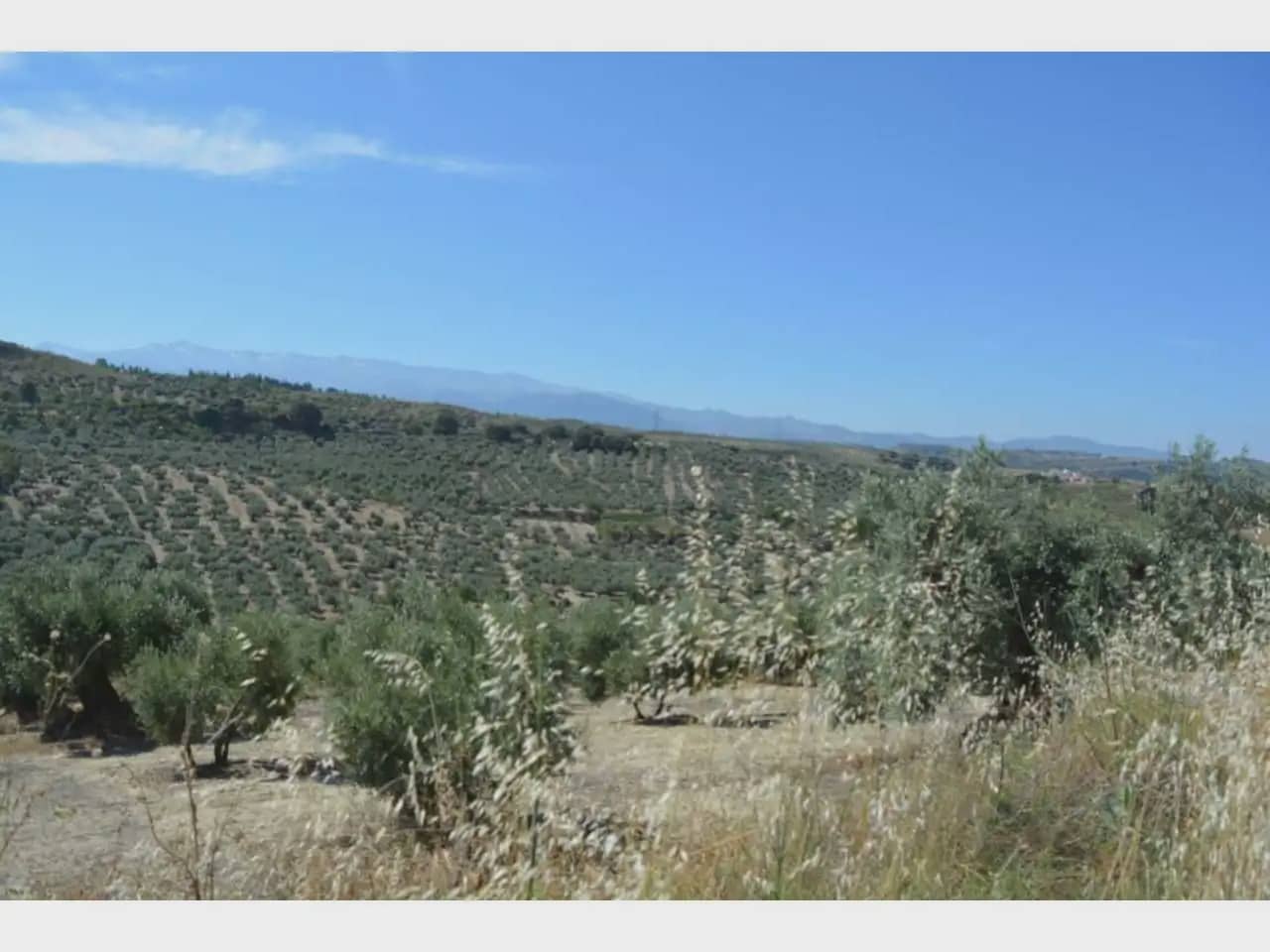 Terre non Aménagée à vendre à Alfacar - 19 900 € (Ref: 10165261)