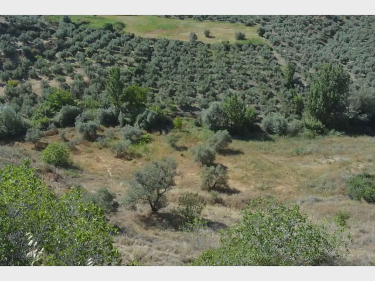 Terre non Aménagée à vendre à Alfacar - 19 900 € (Ref: 10165261)