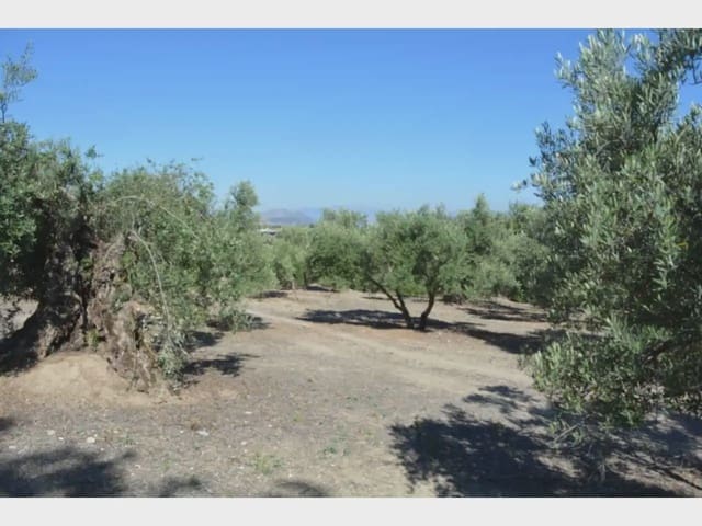 Terre non Aménagée à vendre à Alfacar - 19 900 € (Ref: 10165261)