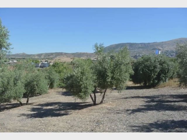 Terre non Aménagée à vendre à Alfacar - 19 900 € (Ref: 10165261)