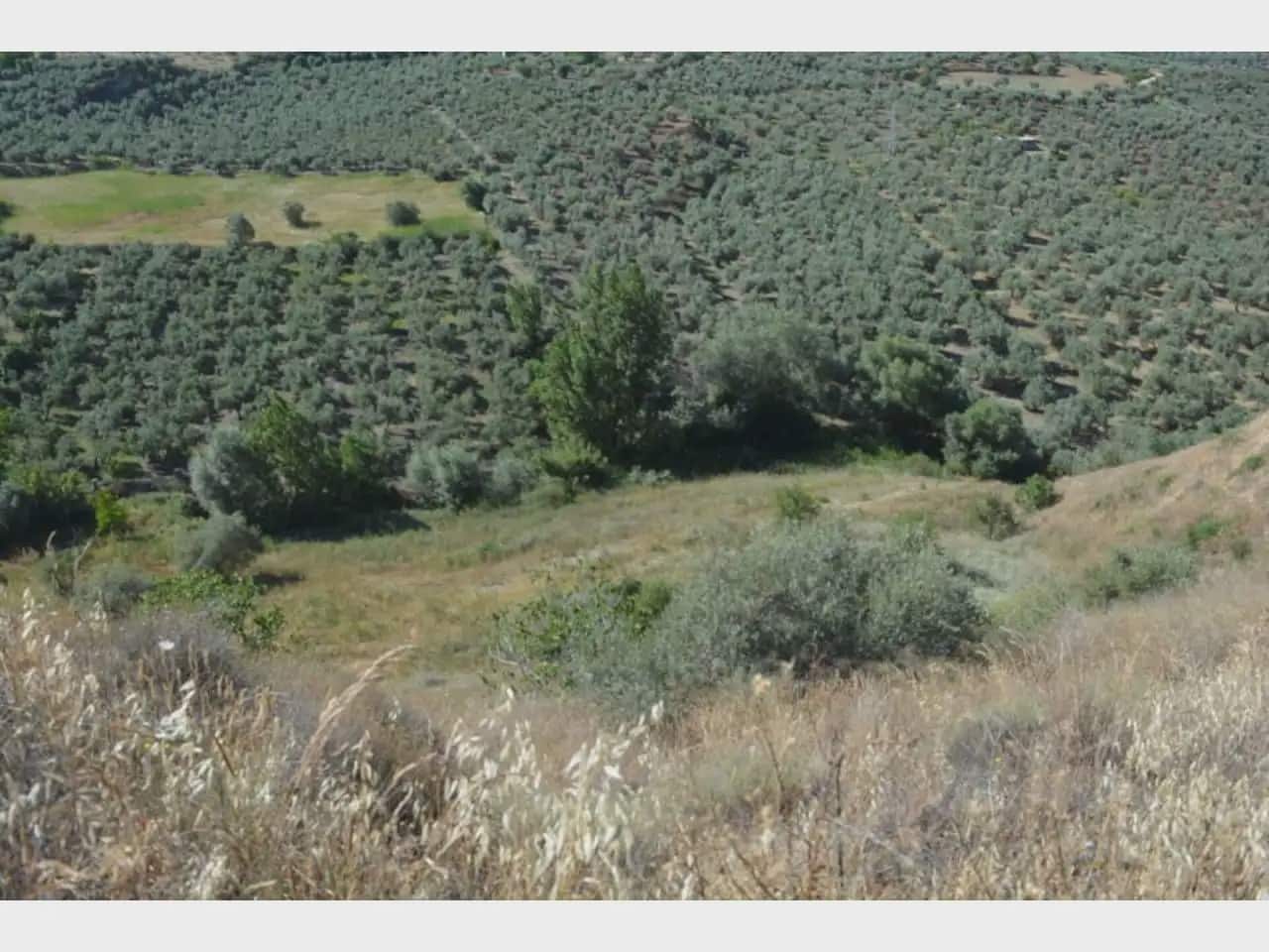 Terre non Aménagée à vendre à Alfacar - 19 900 € (Ref: 10165261)
