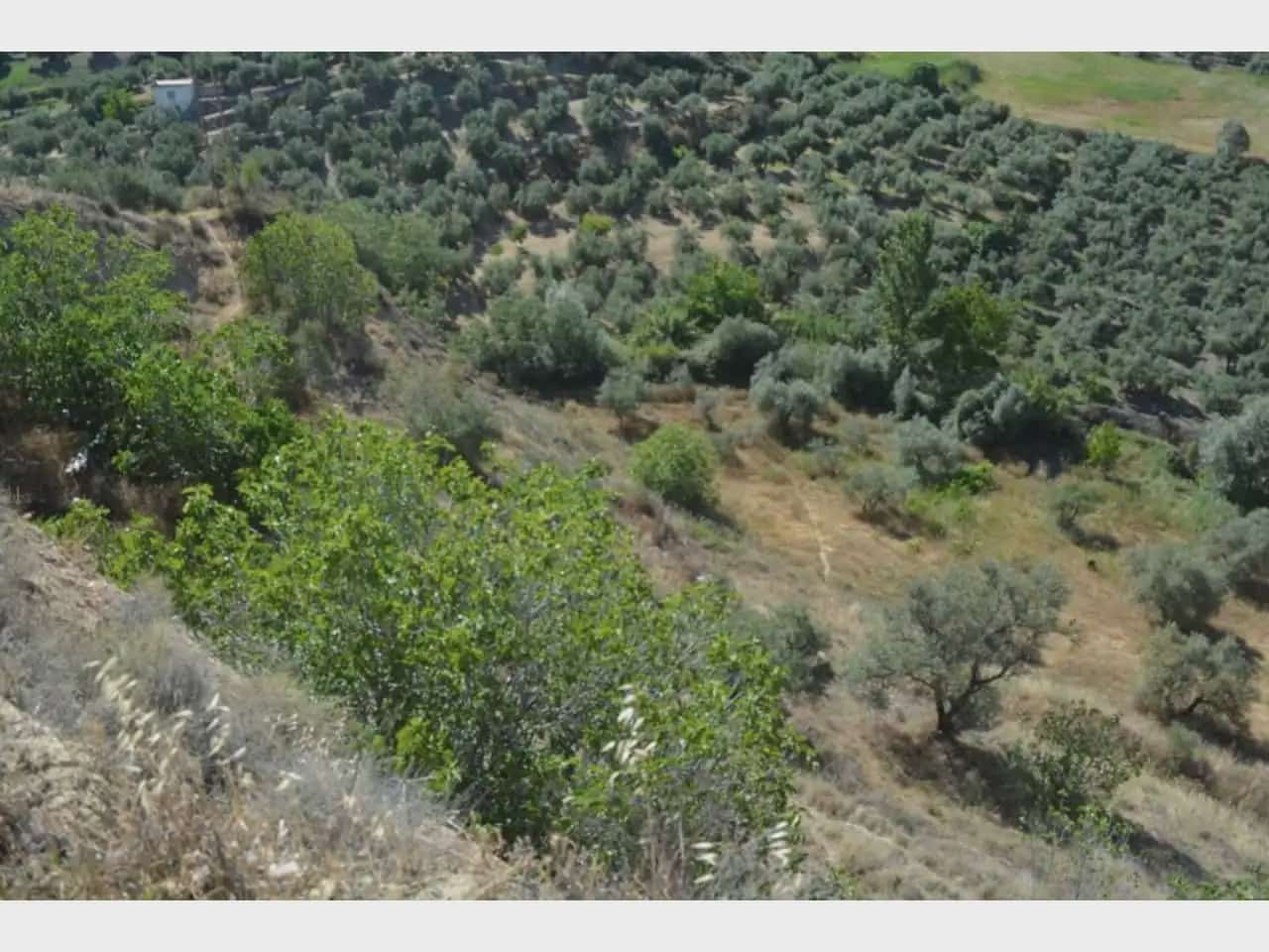 Terre non Aménagée à vendre à Alfacar - 19 900 € (Ref: 10165261)