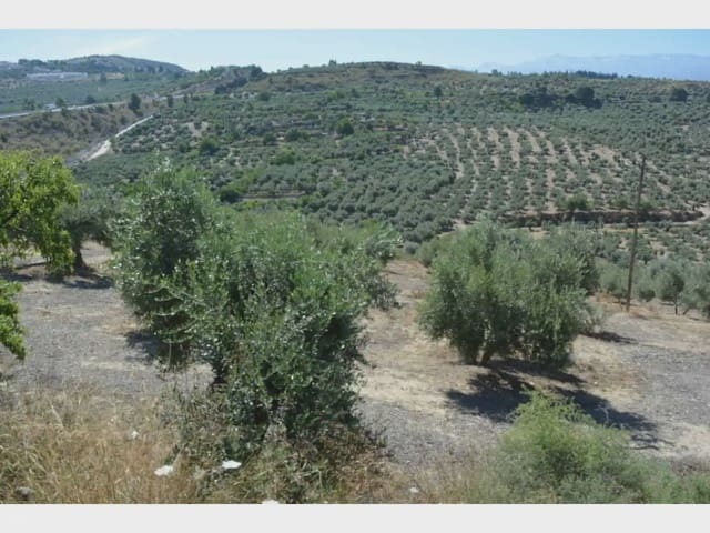 Terre non Aménagée à vendre à Alfacar - 19 900 € (Ref: 10165261)