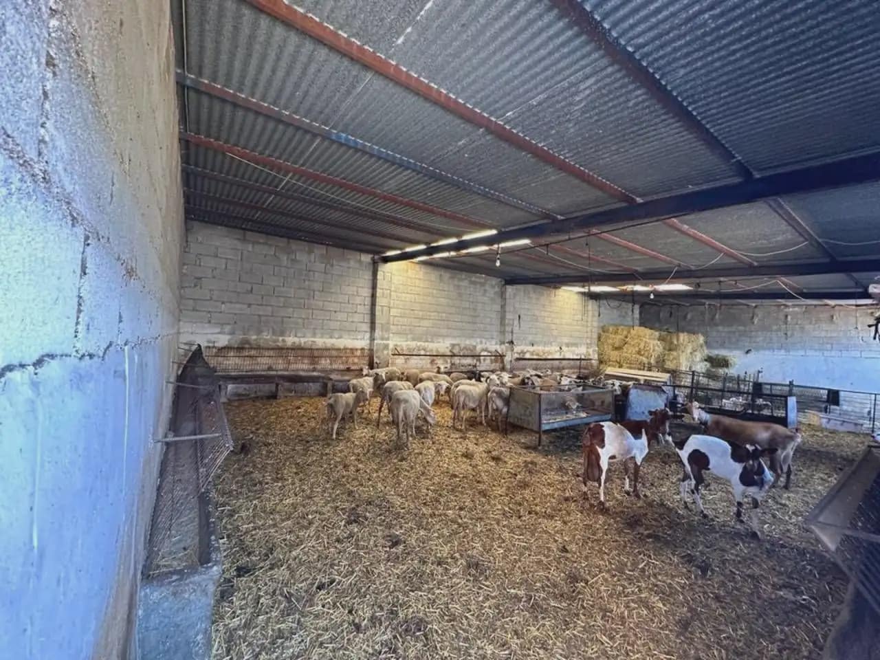 Maalaistalo myytävänä paikassa Moraleda de Zafayona - 165 000 € (Ref: 10165264)