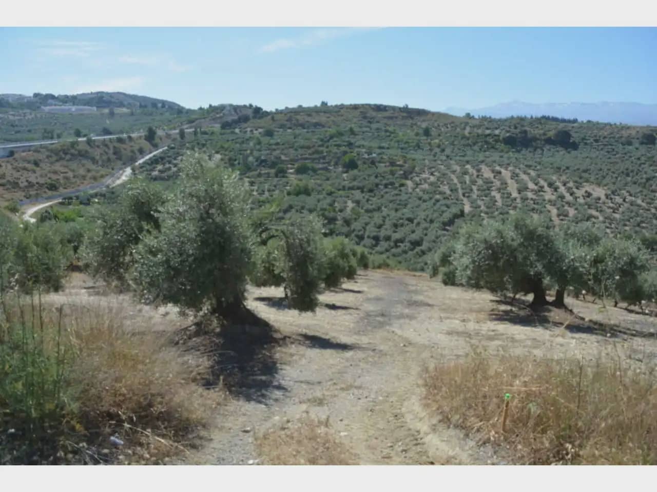 Terre non Aménagée à vendre à Alfacar - 24 900 € (Ref: 10165269)
