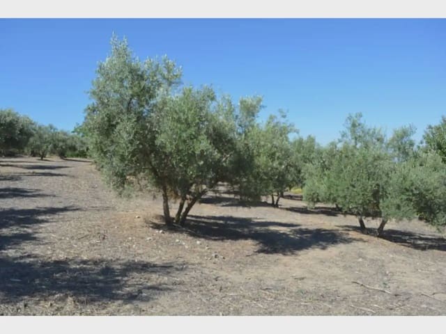 Terre non Aménagée à vendre à Alfacar - 24 900 € (Ref: 10165269)