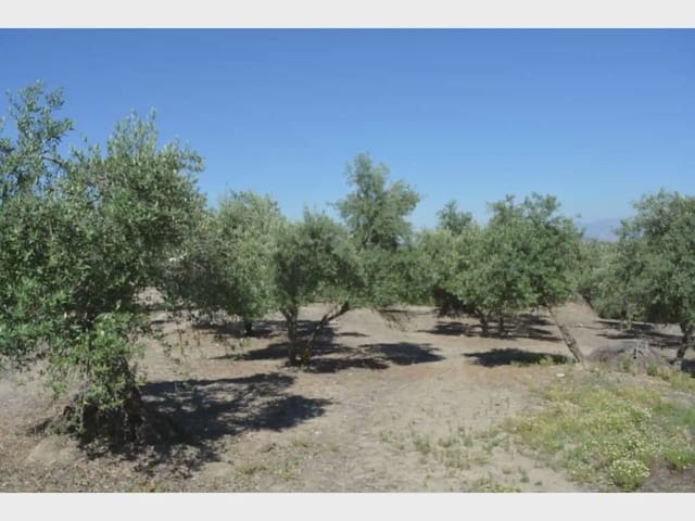 Terre non Aménagée à vendre à Alfacar - 24 900 € (Ref: 10165269)