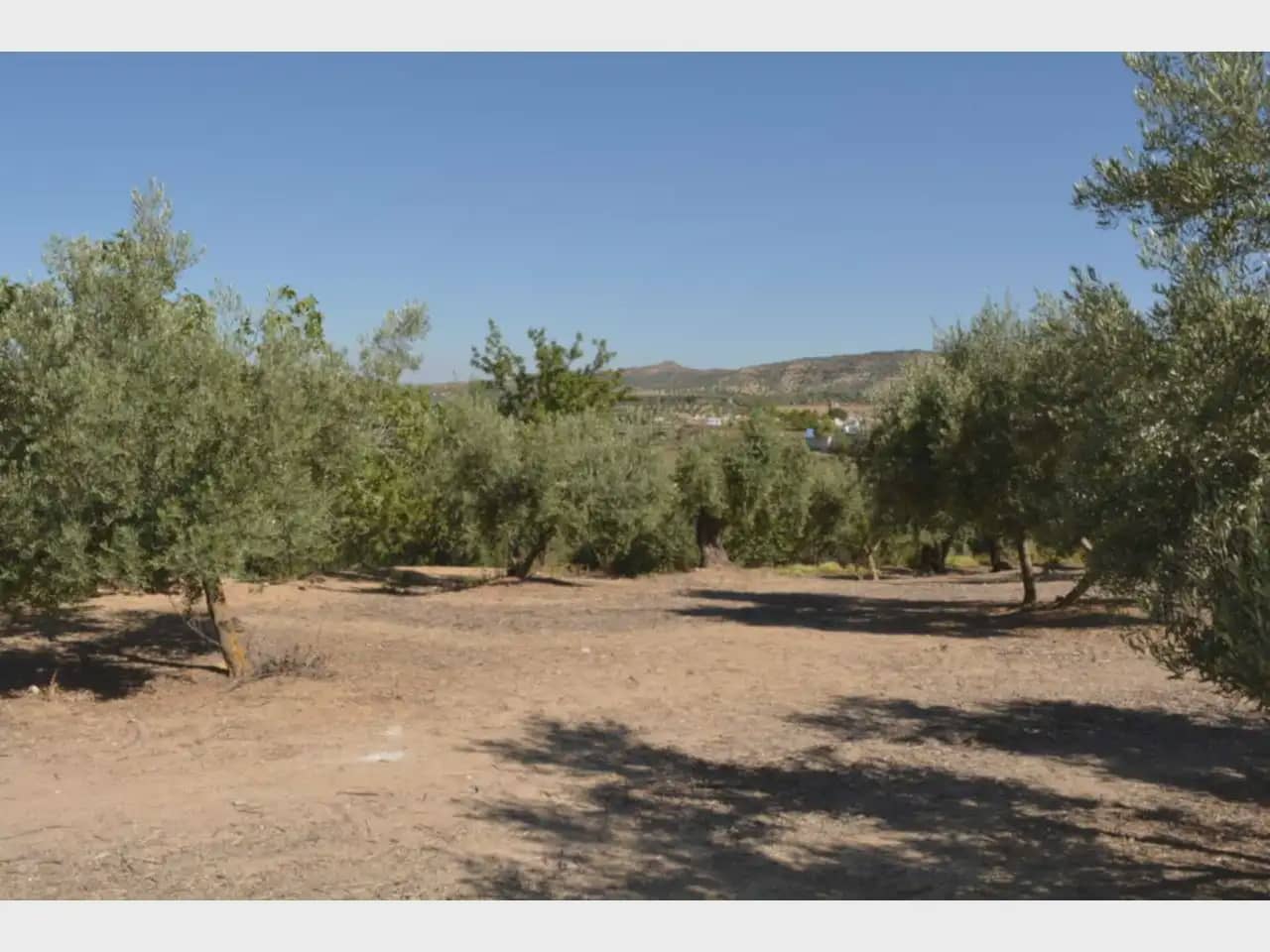 Terre non Aménagée à vendre à Alfacar - 24 900 € (Ref: 10165269)