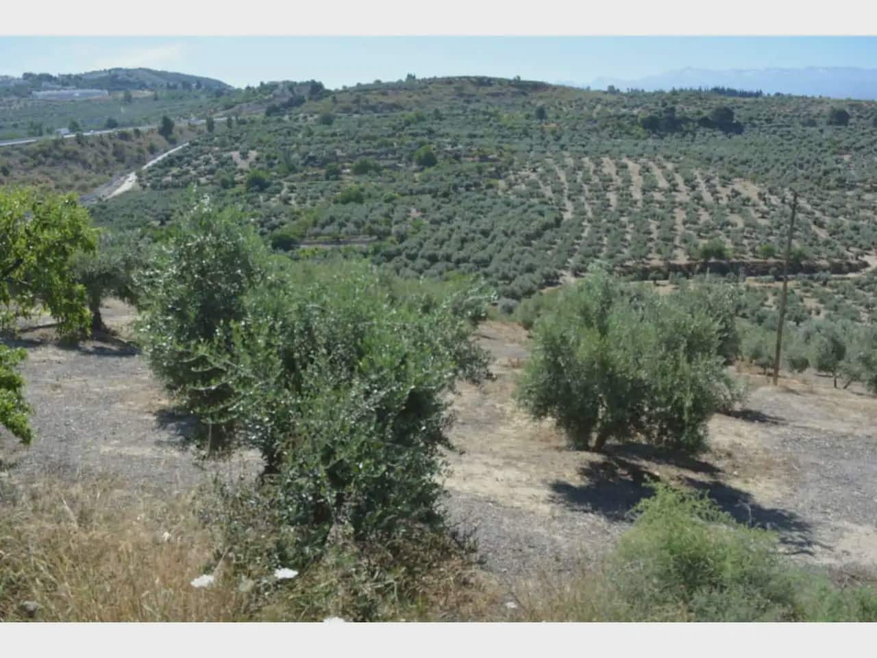 Terre non Aménagée à vendre à Alfacar - 24 900 € (Ref: 10165269)