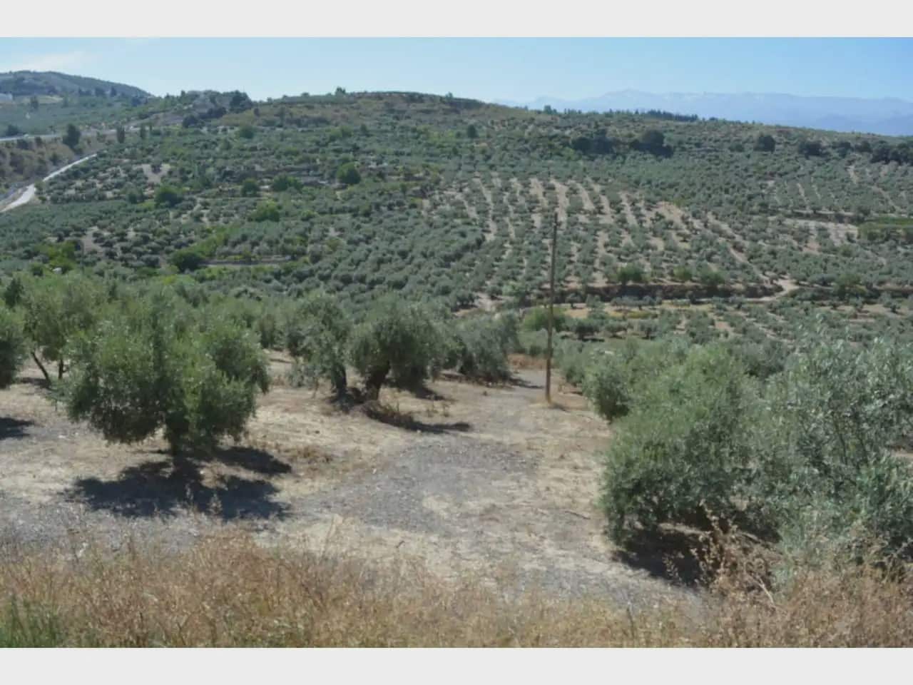 Terre non Aménagée à vendre à Alfacar - 24 900 € (Ref: 10165269)