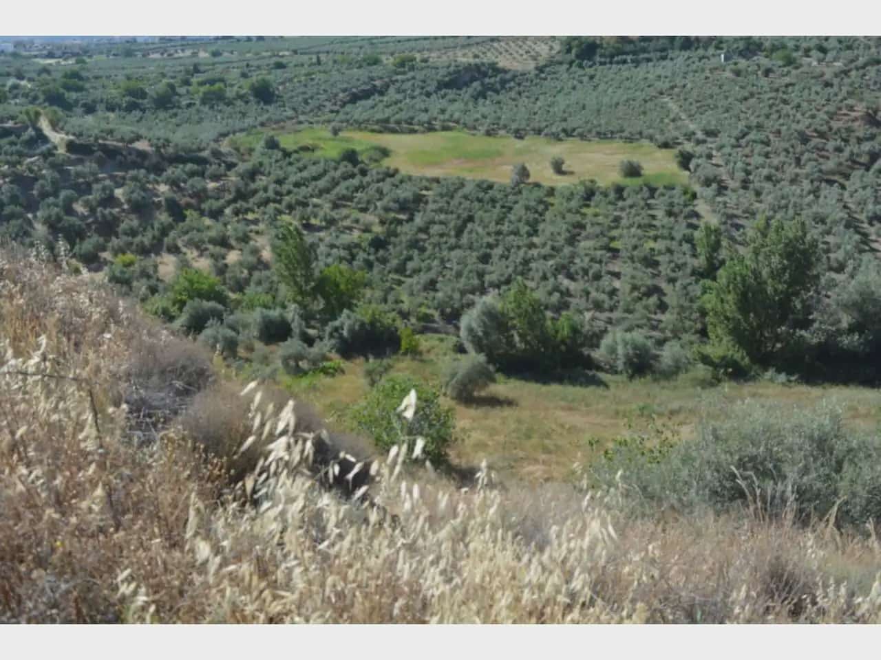 Terre non Aménagée à vendre à Alfacar - 24 900 € (Ref: 10165269)