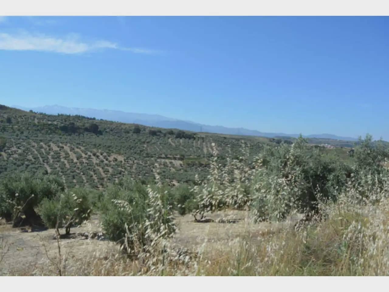 Terre non Aménagée à vendre à Alfacar - 24 900 € (Ref: 10165269)