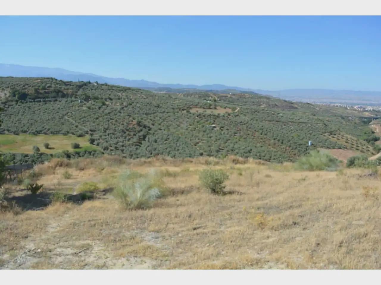 Terre non Aménagée à vendre à Alfacar - 24 900 € (Ref: 10165269)