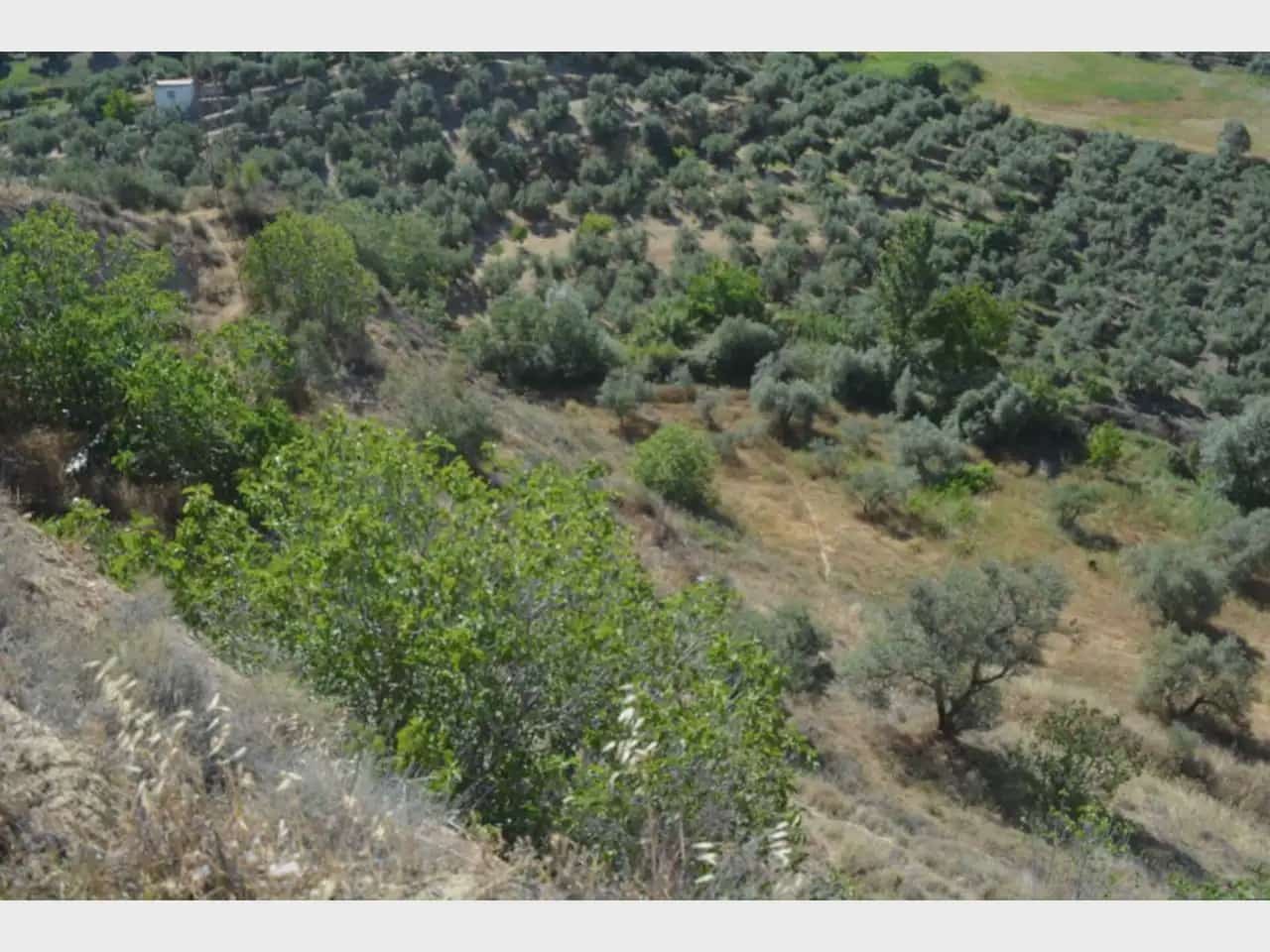 Terre non Aménagée à vendre à Alfacar - 24 900 € (Ref: 10165269)