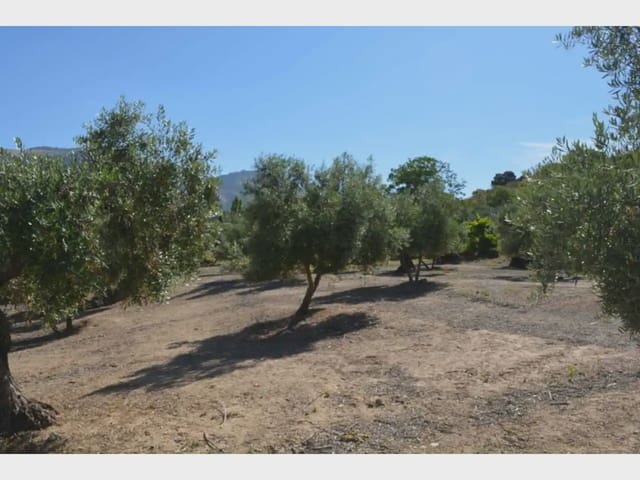 Terre non Aménagée à vendre à Alfacar - 24 900 € (Ref: 10165269)