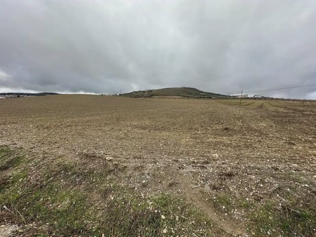 Tomt till salu i Alhama de Granada - 1 199 000 € (Ref: 10165271)