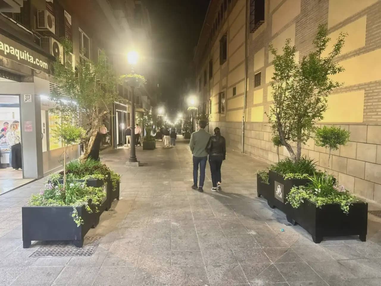 3 sovrum Lägenhet till salu i Granada stad - 249 000 € (Ref: 10165272)