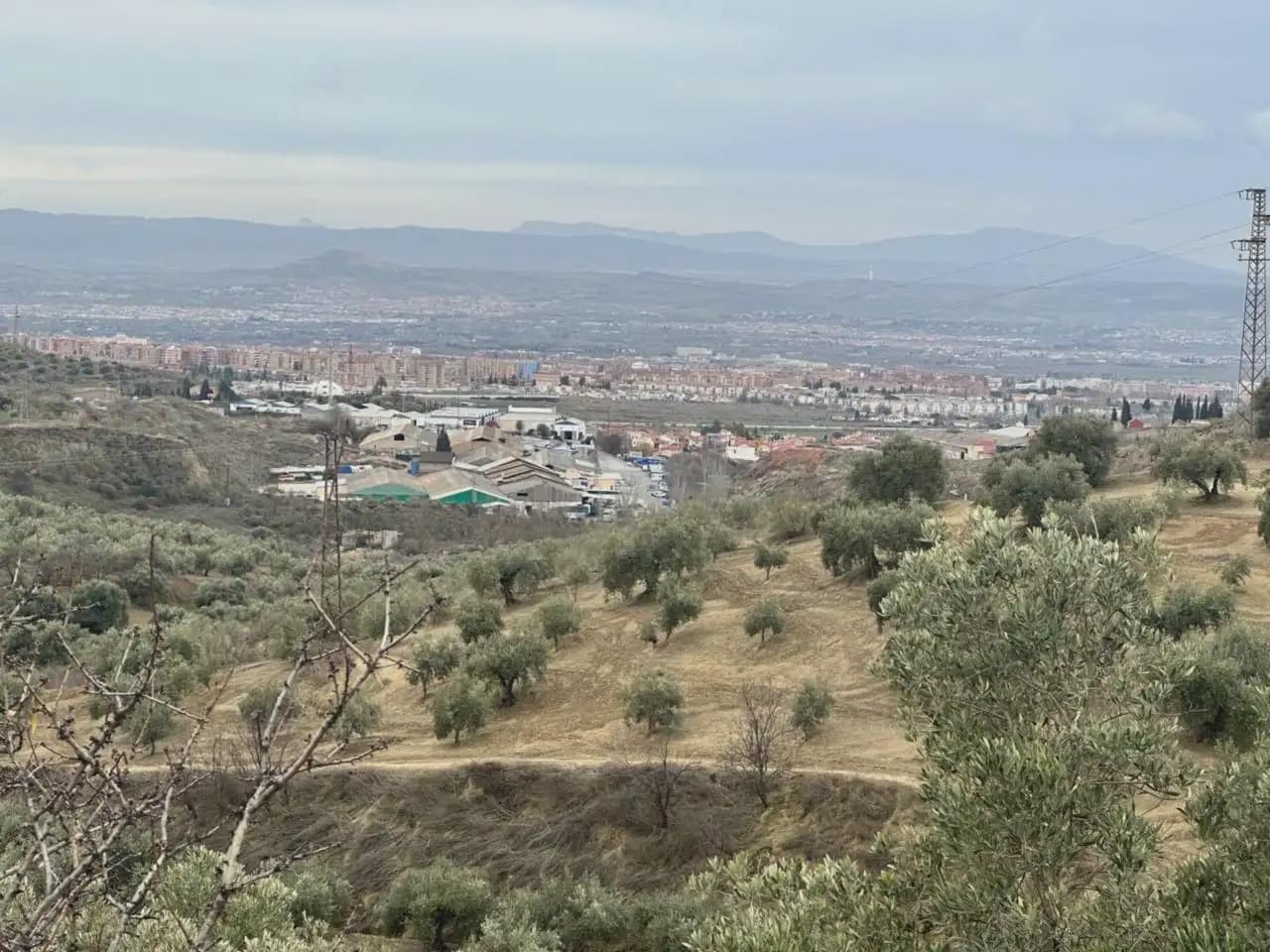 Terre non Aménagée à vendre à Alfacar - 89 900 € (Ref: 10165280)