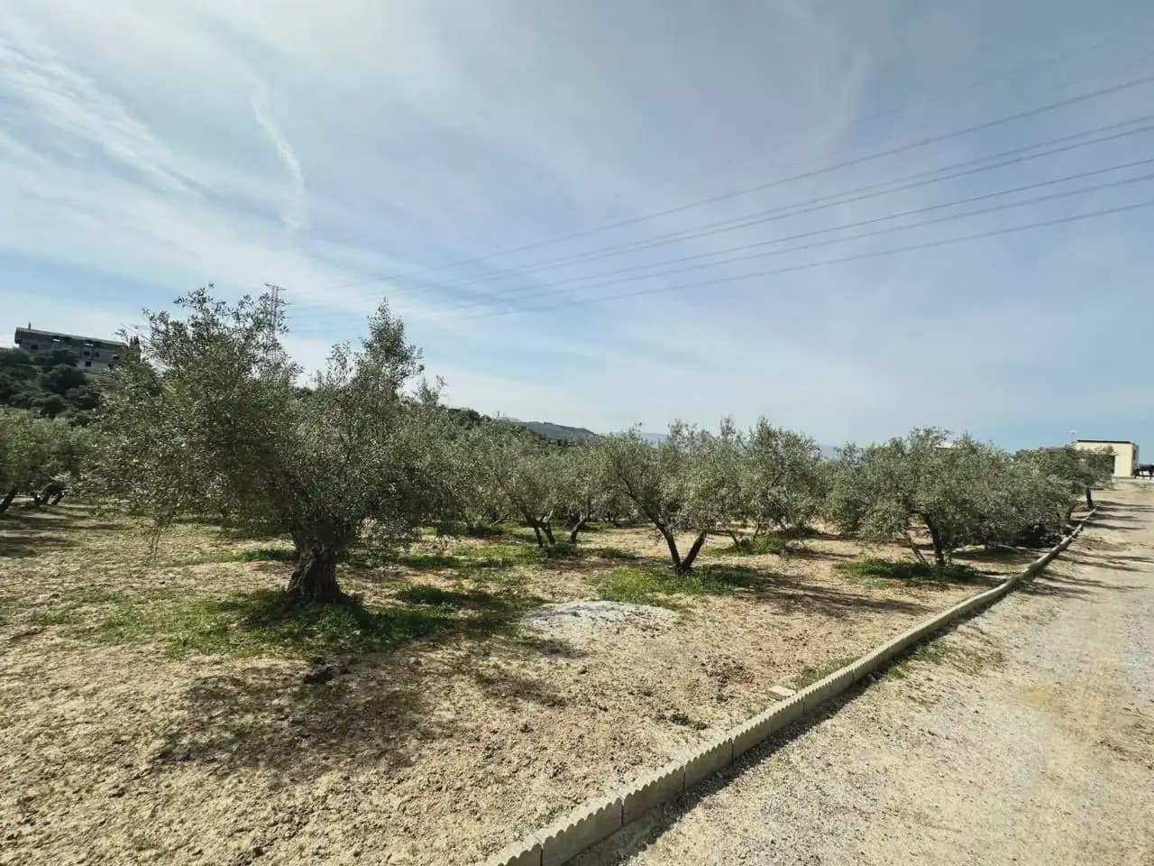 Terre non Aménagée à vendre à Alfacar - 89 900 € (Ref: 10165280)