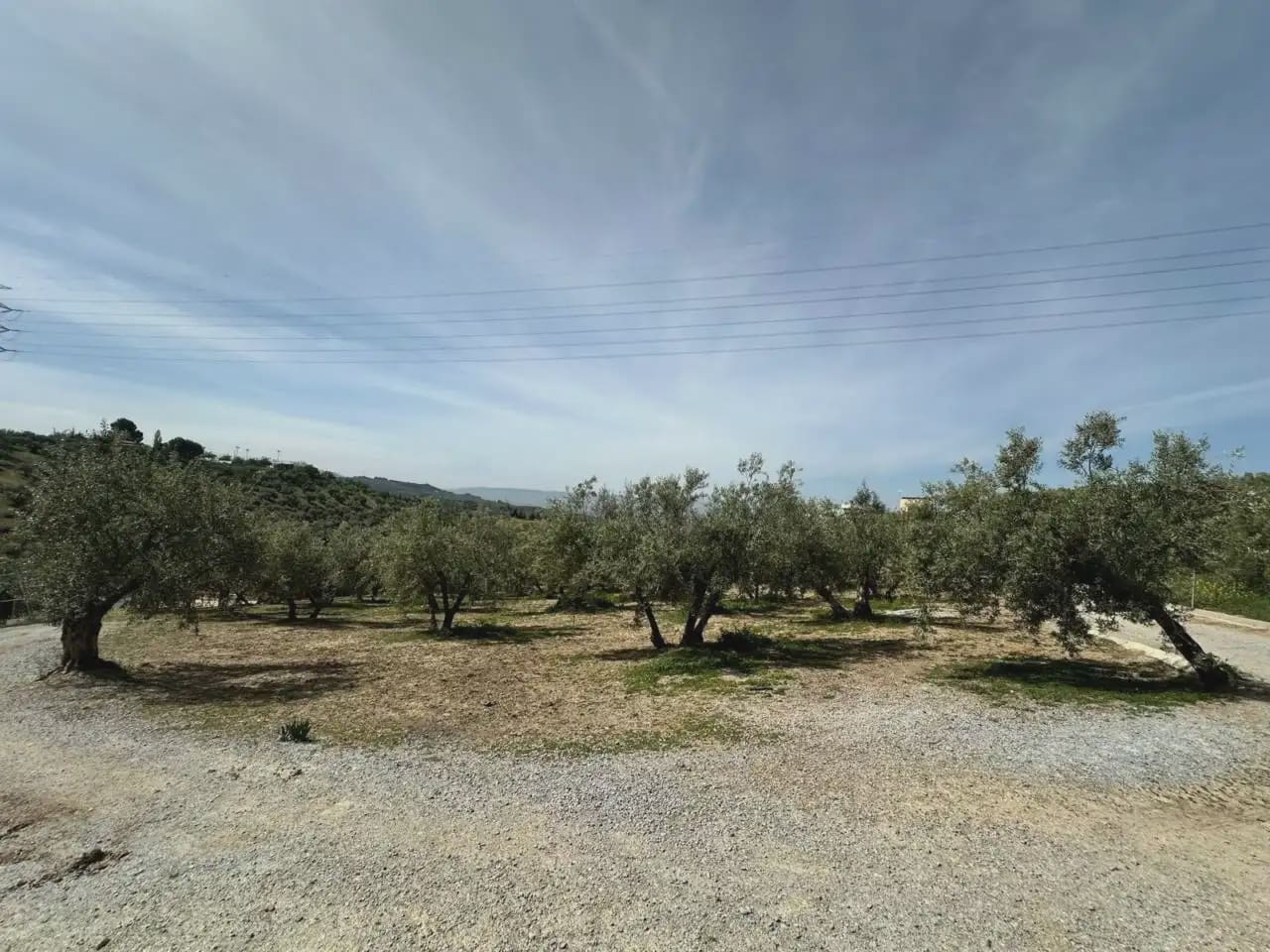 Terre non Aménagée à vendre à Alfacar - 89 900 € (Ref: 10165280)