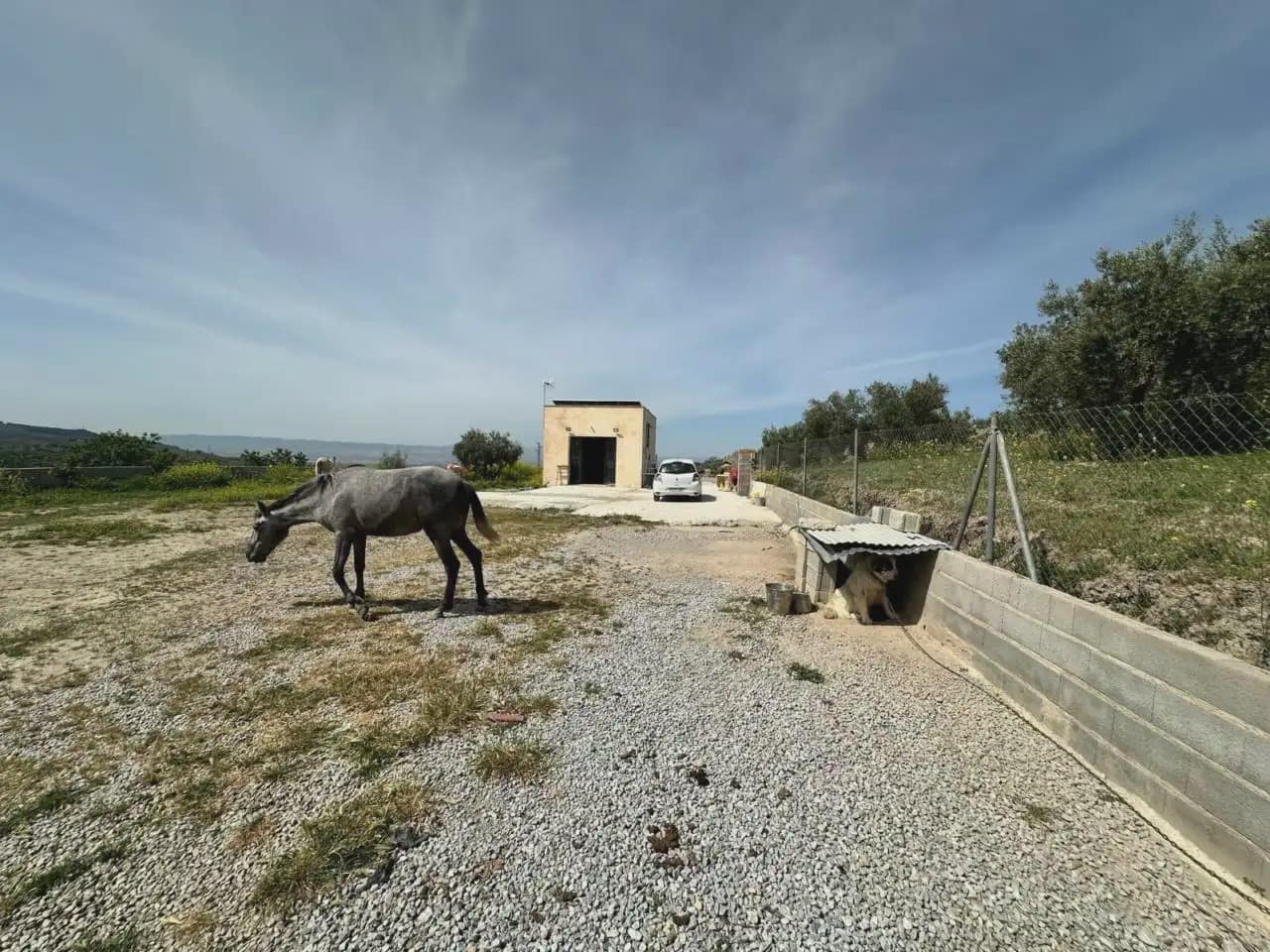 Terre non Aménagée à vendre à Alfacar - 89 900 € (Ref: 10165280)